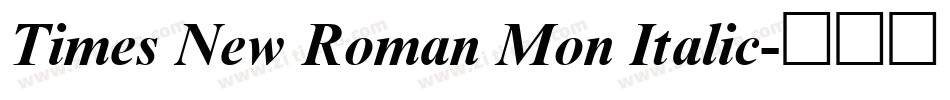 Times New Roman Mon Italic字体转换
